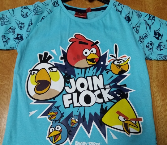 Tričko chlapecké krátký rukáv ANGRY BIRDS (světle modré) - 104